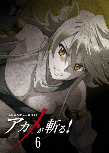 Animation-Akame ga Kill! vol.6-Japan DVD
