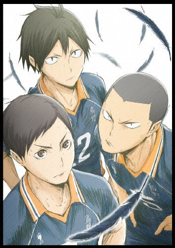 Animation-Haikyu!! Karasuno High School vs Shiratorizawa Academy Vol.4-Japan DVD