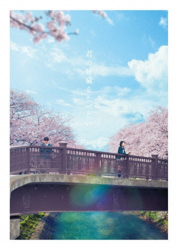 Japanese Movie-Let Me Eat Your Pancreas (Kimi no Suizo wo Tabetai) Deluxe Edition-Japan 2 DVD