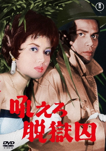 Movie-Dai Nihon Suri Shuudan-Japan DVD