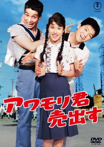 Movie - Awamori Kun Uridasu - Japan DVD