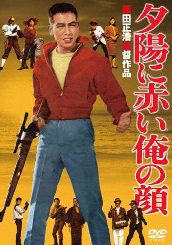 Movie-Medium: The Fifth Season Value Box-Japan DVD