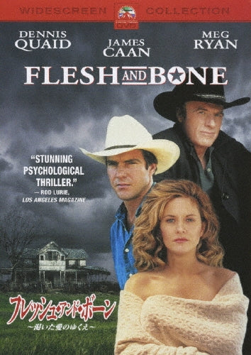 Movie-Bayside Shakedown The Last Tv Salery Man Keiji To Saigo No Nanjiken-Japan DVD