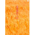 Japanese TV Series-Kita no Kuni kara (From a north country) Vol.11-Japan DVD