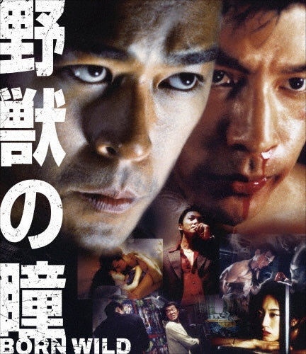 Movie - Born Wild - Japan Blu-ray Disc
