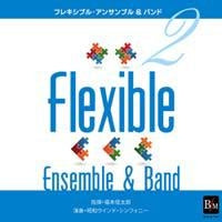 Shintaro Fukumoto, Showa Wind Symphony, Fukumoto Shintaro - Flexible Ensemble & Band 2 - Japan CD