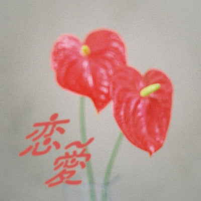 Yo Irie - Renai - Japan Vinyl LP Record