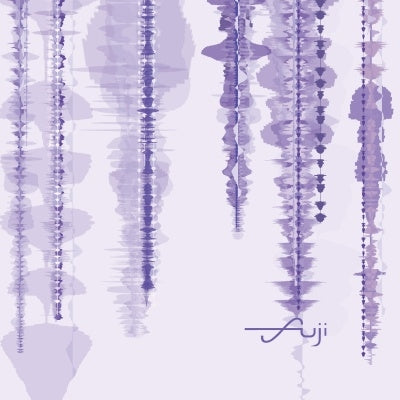 Suguru Matsutani - Suguru Matsutani:Piano Kyousou Kumikyoku[Fuji] - JapanCD