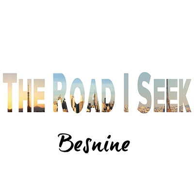 Besnine - The Road I Seek - Japan CD