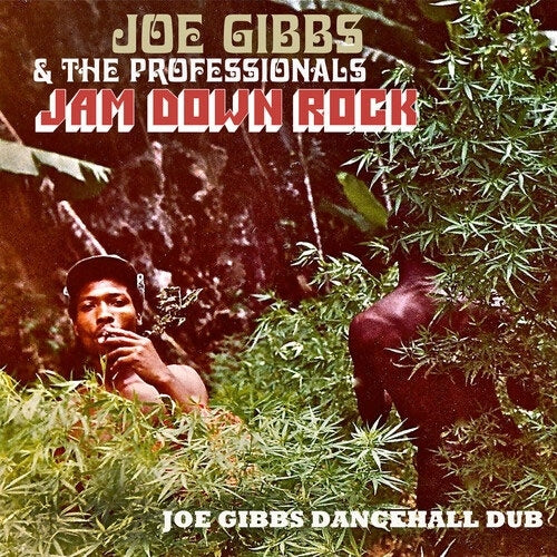 Joe Gibbs & The Professionals - Jam Down Rock - Joe Gibbs Dancehall Dub - Import CD