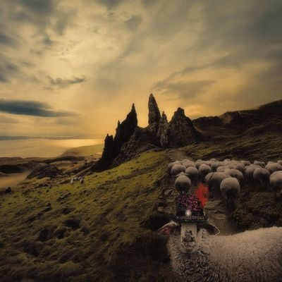 Franck Carducci - Sheeple - Import CD
