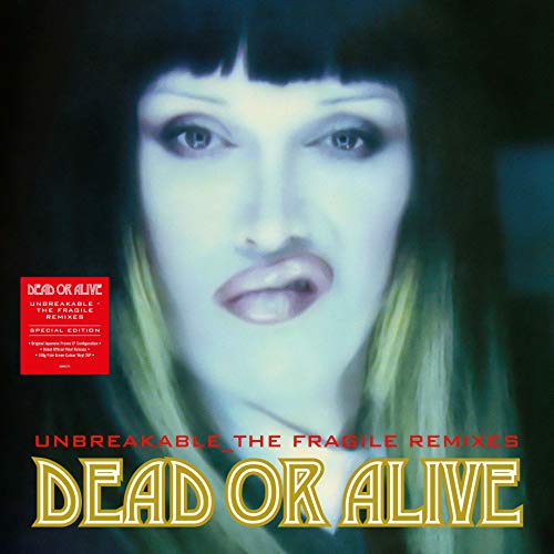 Dead Or Alive - Unbreakable - The Fragile Mixes - Import Vinyl 2 LP Record