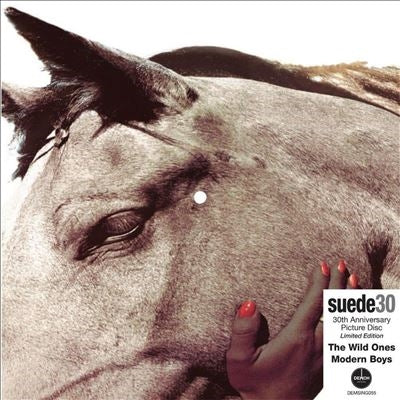 Suede - The Wild Ones - Import7 inch Single Record
