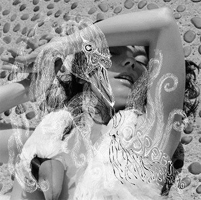 Bjork - Vespertine - Import Vinyl 2 LP Record