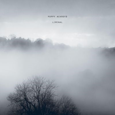 Poppy Ackroyd - Liminal - Import Vinyl LP Recurd