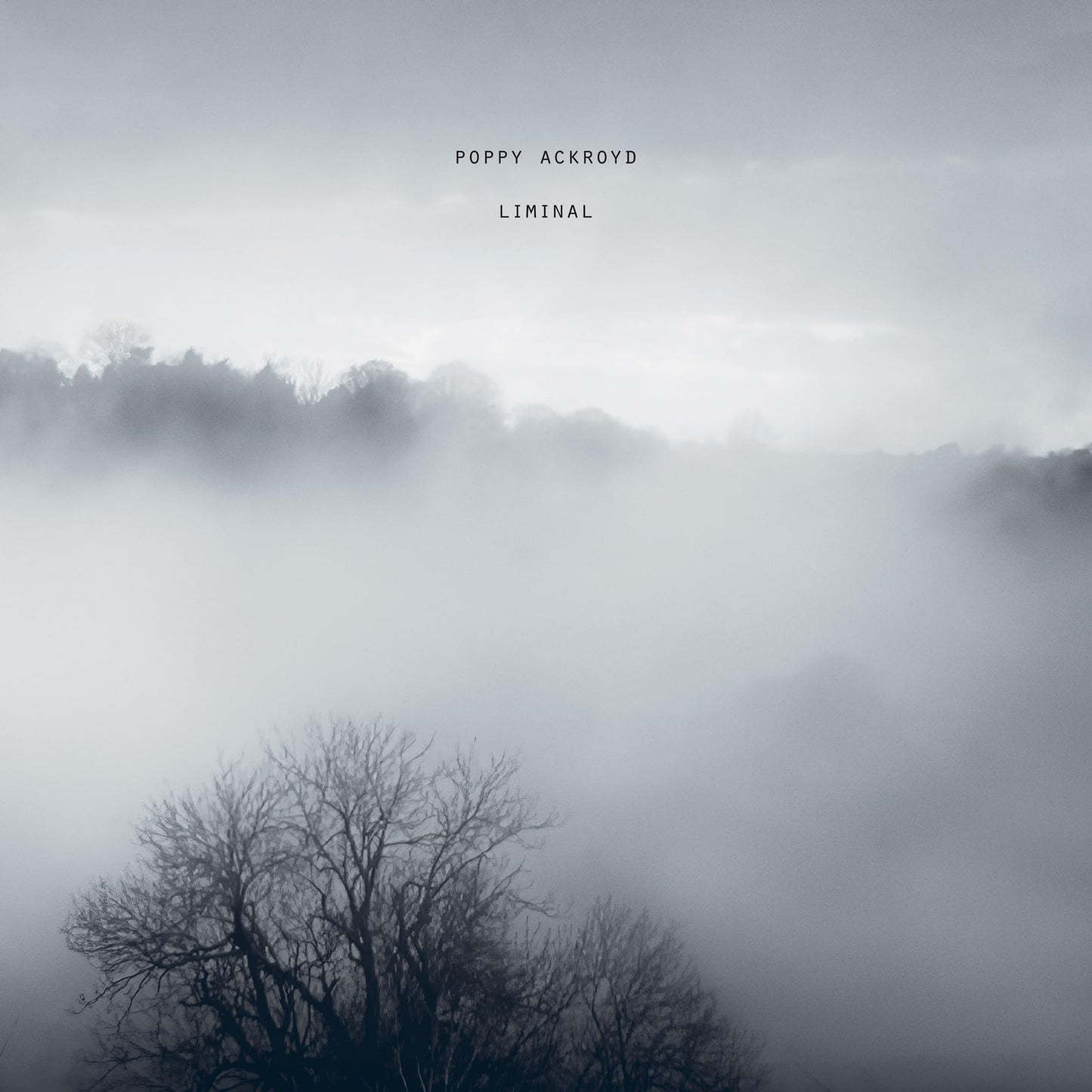 Poppy Ackroyd - Liminal - Import Colored Vinyl LP Recurd
