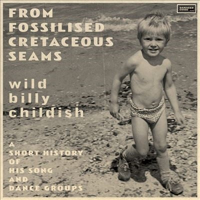 Billy Childish - From Fossilised Cretaceous Seams - Import Vinyl 2 LP Record