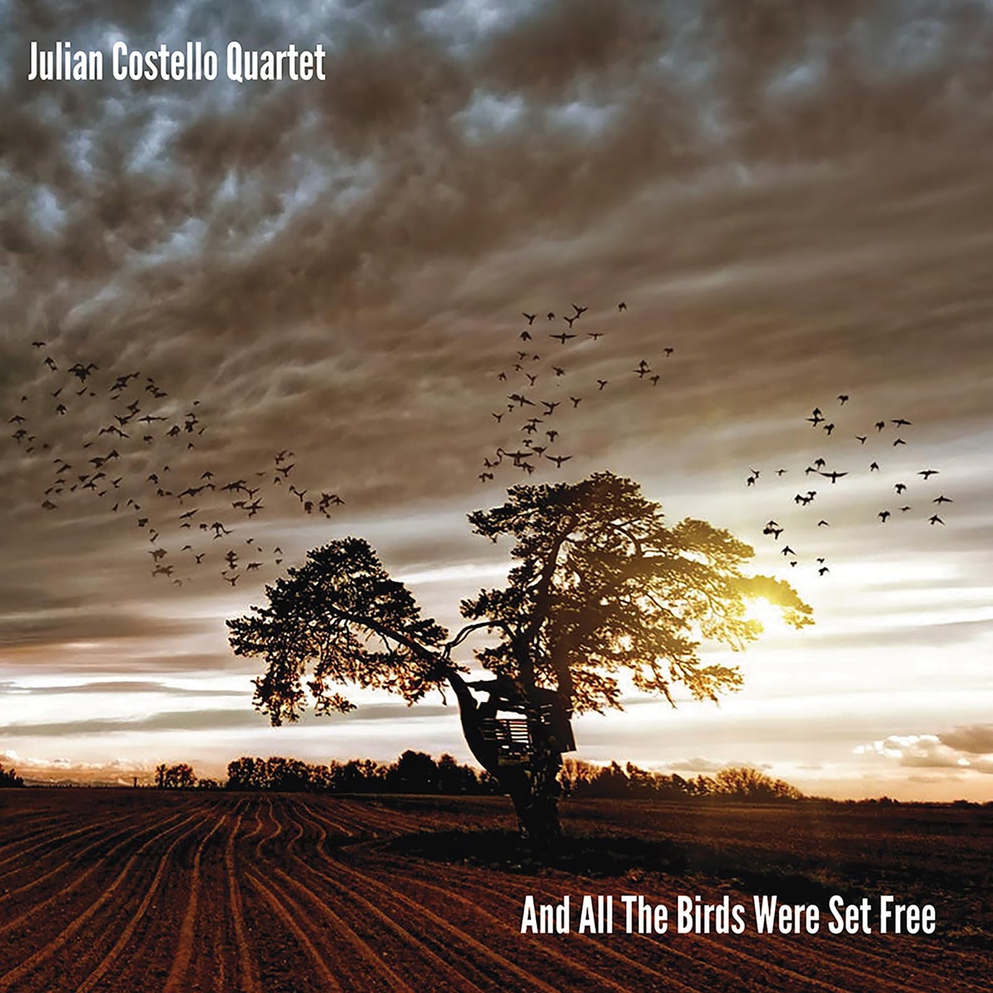Julian Costello - And All the Birds Were Set Free - Import CD
