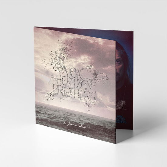 Von Hertzen Brothers - In Murmuration - Import CD