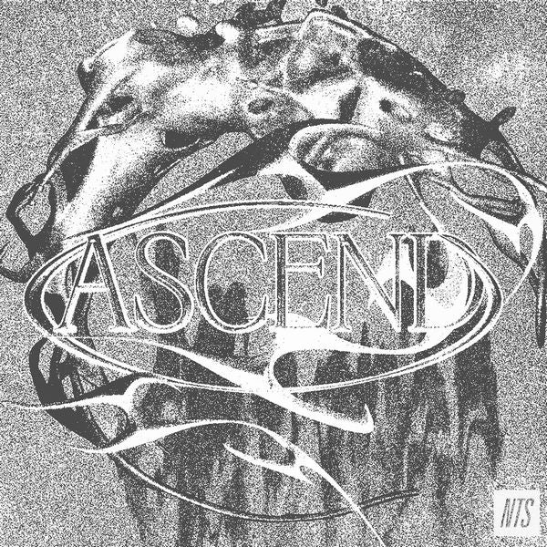 V.A. (Noise / Avant-Garde) - Ascend - Import Vinyl 2 LP Record