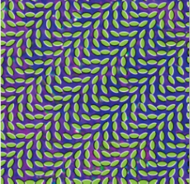 Animal Collective - Merriweather Post Pavilion - Import Vinyl 2 Vinyl Record