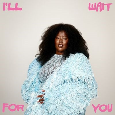Nvy 、 Nnavy - Ill Wait for You - Import Vinyl LP Record