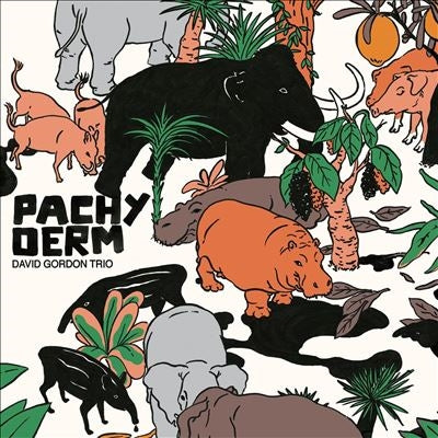 David Gordon Trio - Pachyderm - Import Vinyl LP Record