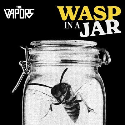 Vapors - Wasp In A Jar - Import Vinyl LP Record