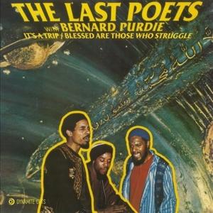 The Last Poets - It's A Trip - Import Vinyl 7inch Single Record