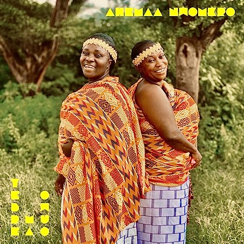 Yebre Ma Owuo - Ahemaa Nwomkro - Import Vinyl 7inch Single Record