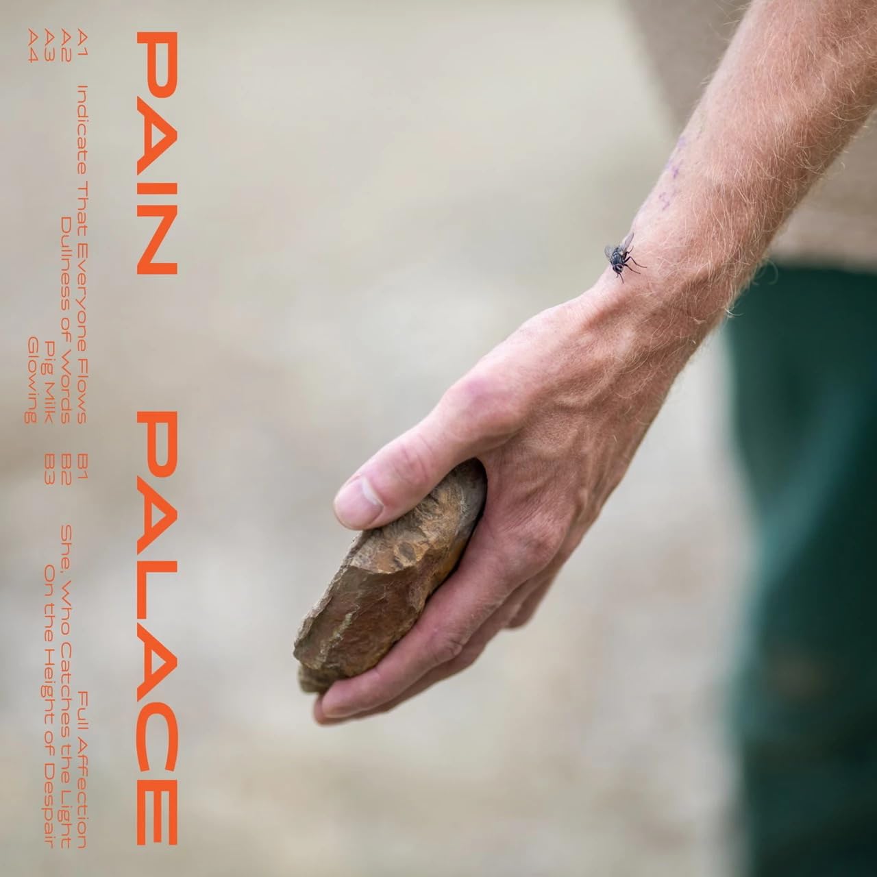 Pain Palace - Pain Palace - Import Vinyl LP Record