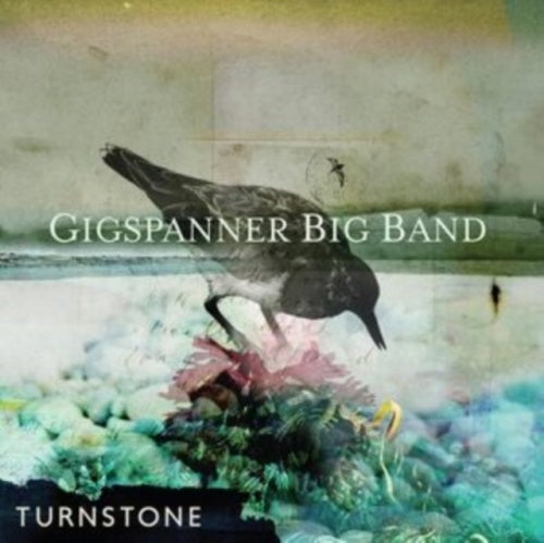 Peter Knight's Gigspanner Big Band - Turnstone - Import CD