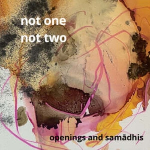 Not One Not Two - Openings and Samadhis - Import CD