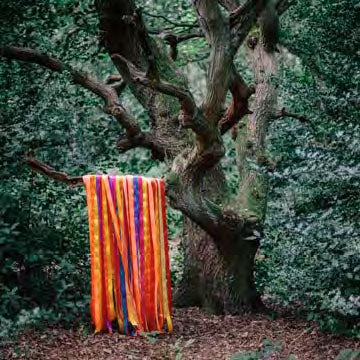 James Holden 、 The Animal Spirits - The Animal Spirits - Import CD