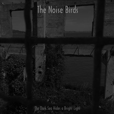 The Noise Birds - The Dark Sea Hides a Bright Light - Import Vinyl LP Record