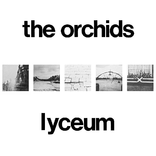 Orchids  - Lyceum  - Import CD