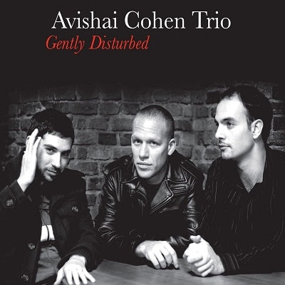 Avishai Cohen Trio - Gently Disturbed - Import LP Record Bonus Track