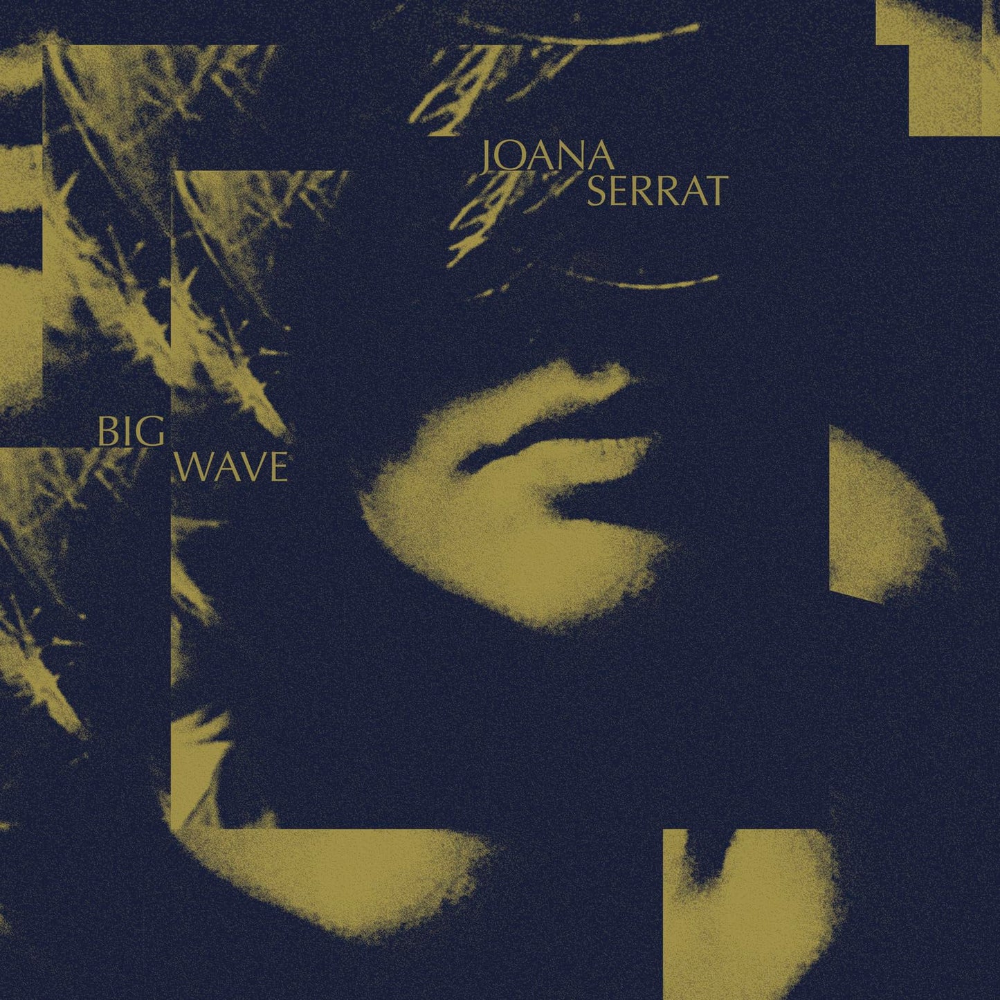 Joana Serrat - Big Wave - Import CD