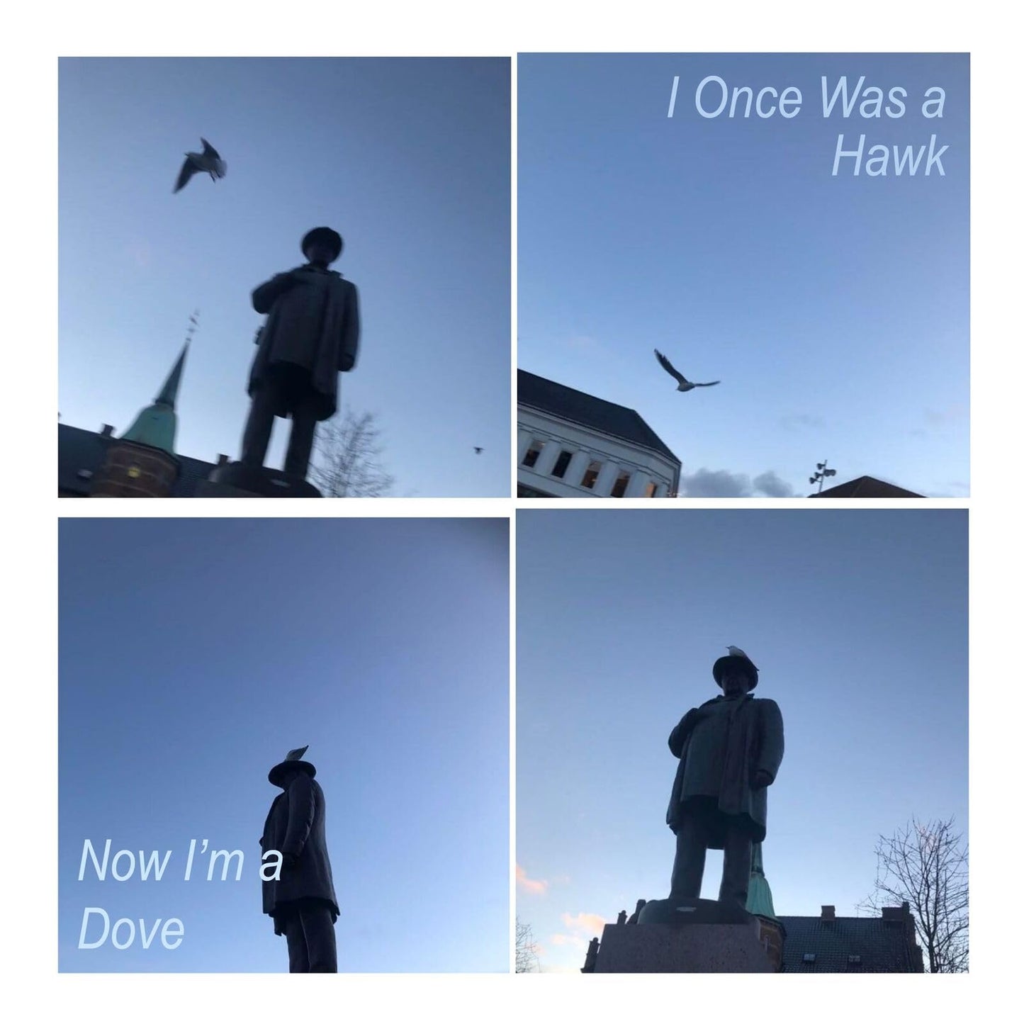 Joby Fox - I Once Was A Hawk / Now I'M A Dove - Import CD