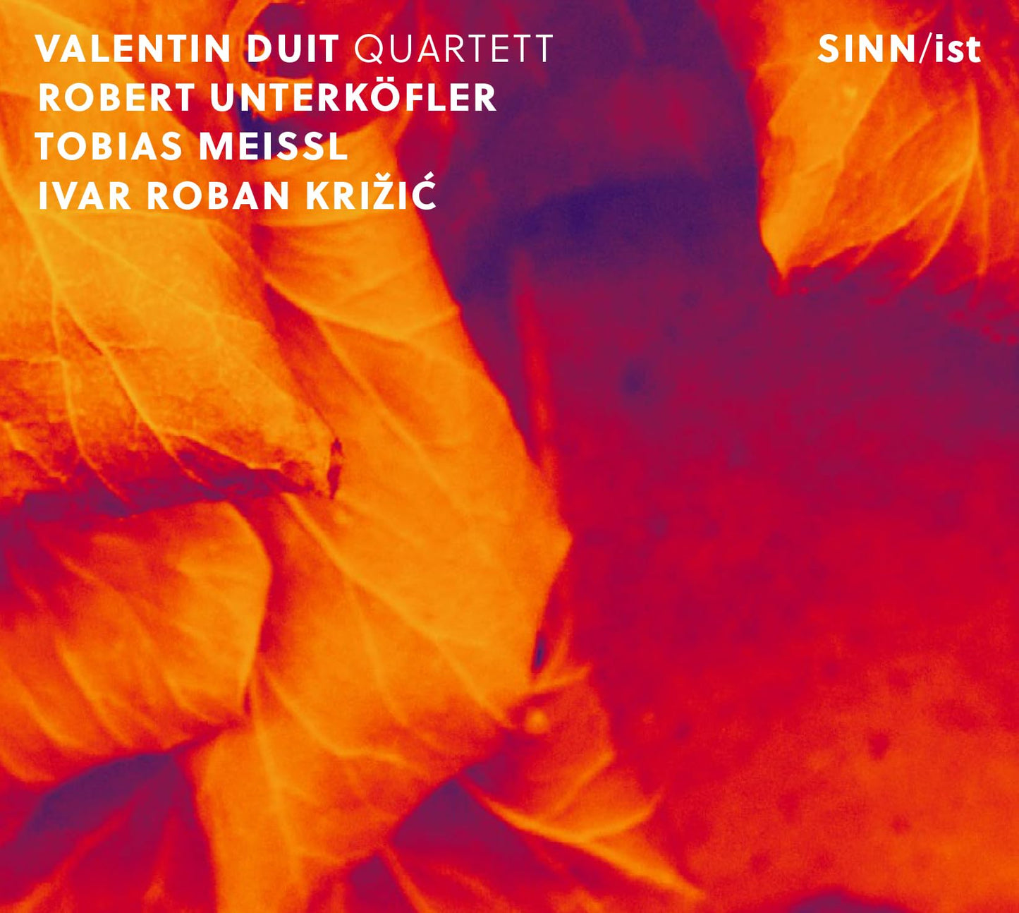 Valentin Duit Quartett - Sinn/Ist - Import CD