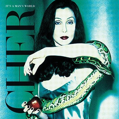 Cher - It'S A Man'S World - Import Vinyl 2 LP Record