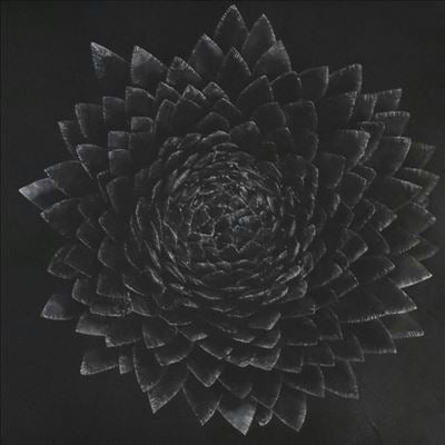 Jonsi - Obsidian - Import Colored Vinyl 2 LP Record