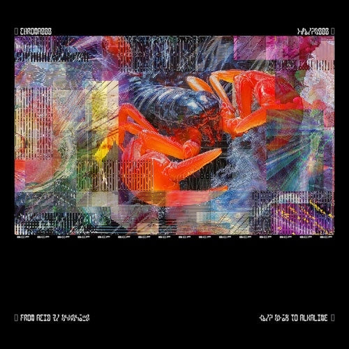 Bicep - Chroma 000 - Import Special sleeve/Neon acrylic sheet included 12 inch Record x2 Limited Edition