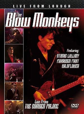 Blow Monkeys - Live From London - Import DVD