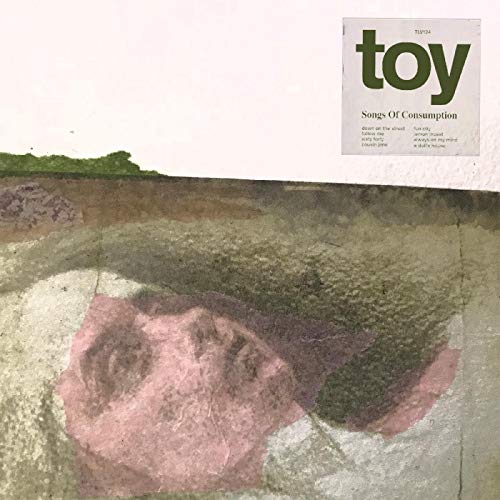 Toy (UK) - Songs of Consumption - Import CD