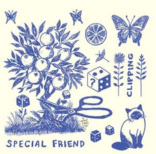 Special Friend - Clipping - Import Vinyl LP Record Limited Edition
