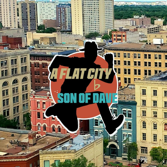 Son Of Dave - A Flat City - Import LP Record