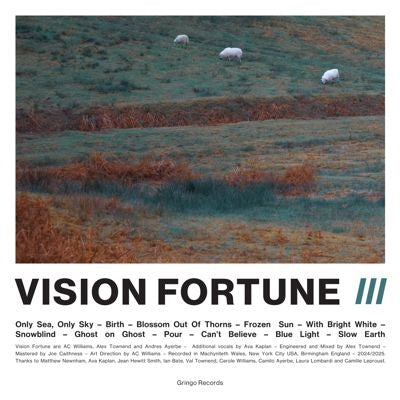 Vision Fortune - III - Import Ecomix Vinyl LP Record Limited Edition