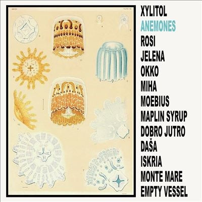 Xylitol - Anemones - Import Vinyl LP Record