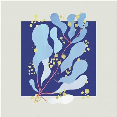 Salamanda - In Parallel - Import LP Record